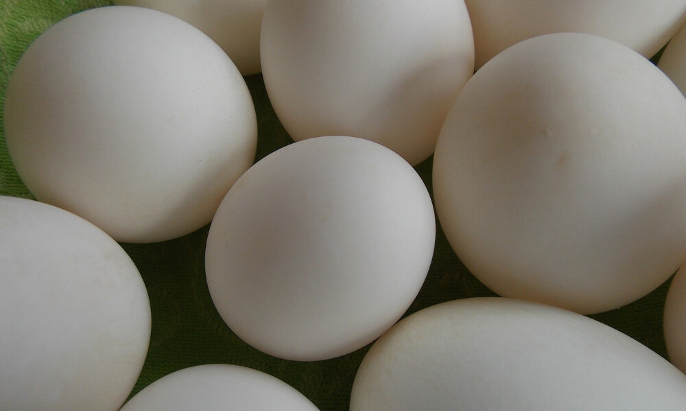 Αγόρασε αυγά από σούπερ μάρκετ - «Τρελάθηκε» μ’ αυτό που βρήκε (video)