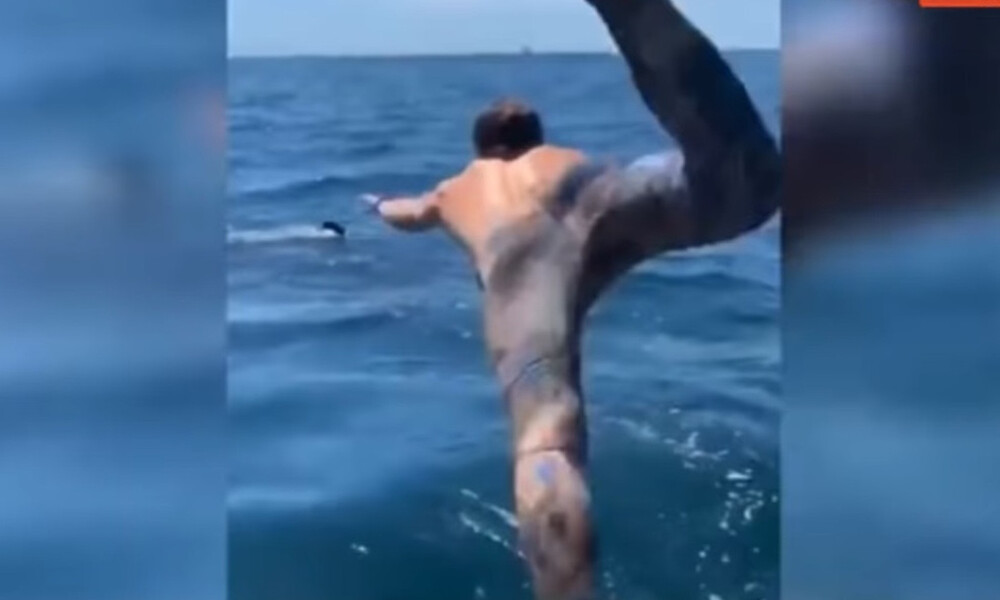 Βούτηξε να κολυμπήσει με ακίνδυνο καρχαρία αλλά ήταν σαρκοφάγος λευκός (video)