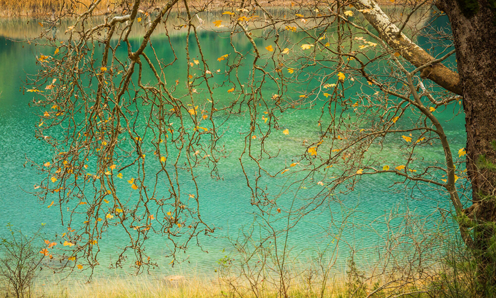 Ημερήσιες Προβλέψεις για όλα τα Ζώδια 04/10