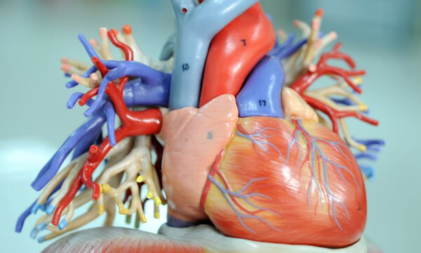 Με ποιες τροφές θα «ξεβουλώσετε» τις αρτηρίες σας (photos)