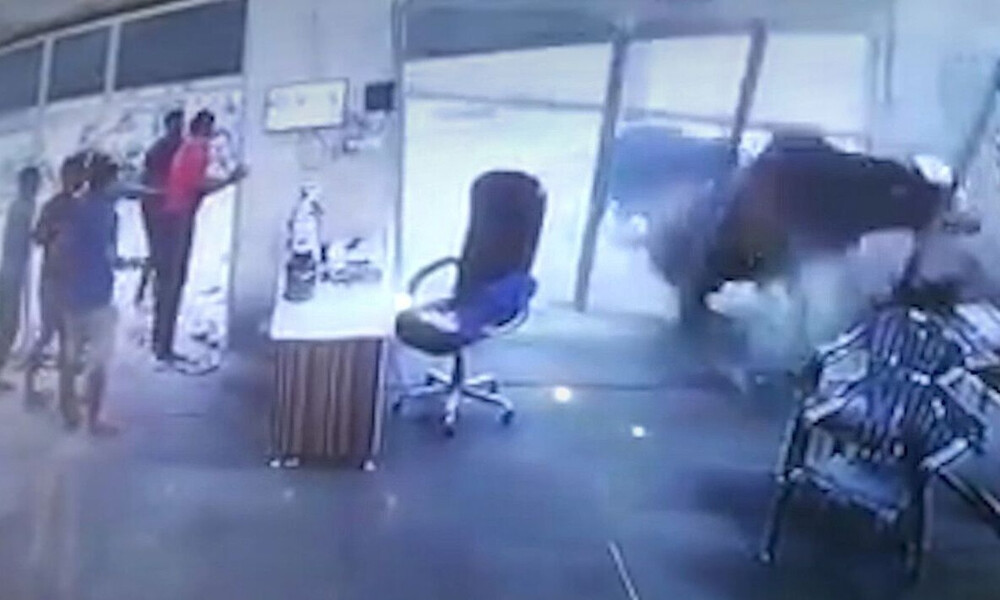 Εκαναν γυμναστική όταν είδαν δύο ταύρους να «μαλώνουν». Σοκάρει η συνέχεια...