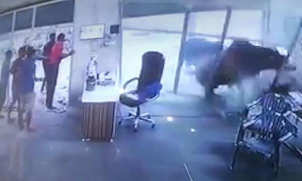Εκαναν γυμναστική όταν είδαν δύο ταύρους να «μαλώνουν». Σοκάρει η συνέχεια...
