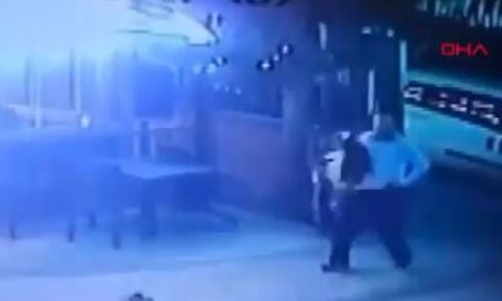 Ατρόμητη γάτα: Πλησίασε τα μικρά της και δείτε τι του έκανε (video)