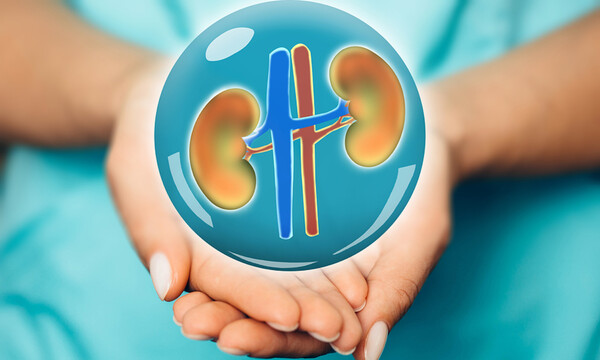 Οι υπερτροφές που βοηθούν στη διαχείριση της νεφρικής νόσου (βίντεο)