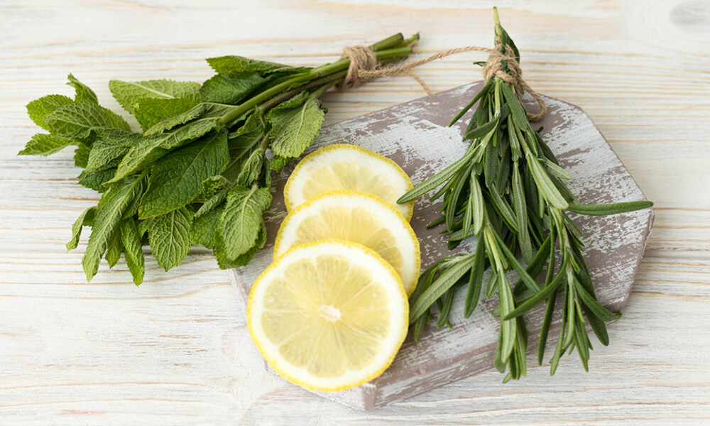 Δεντρολίβανο & μέντα: Ένας συνδυασμός με πολλά οφέλη για την υγεία (βίντεο)