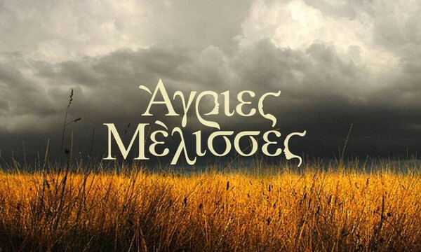 Άγριες Μέλισσες spoiler: Ο αρραβώνας που θα σοκάρει όλο το Διαφάνι είναι προ των πυλών