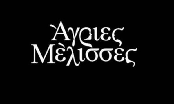 Άγριες Μέλισσες: Οι συγκλονιστικές σκηνές στα τελευταία επεισόδιο της χρονιάς