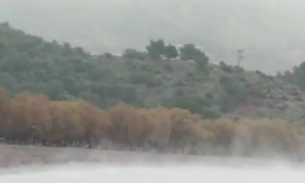 Κακοκαιρία «Λέανδρος»: Βούτηξαν στη θάλασσα εν μέσω χιονιά (video)