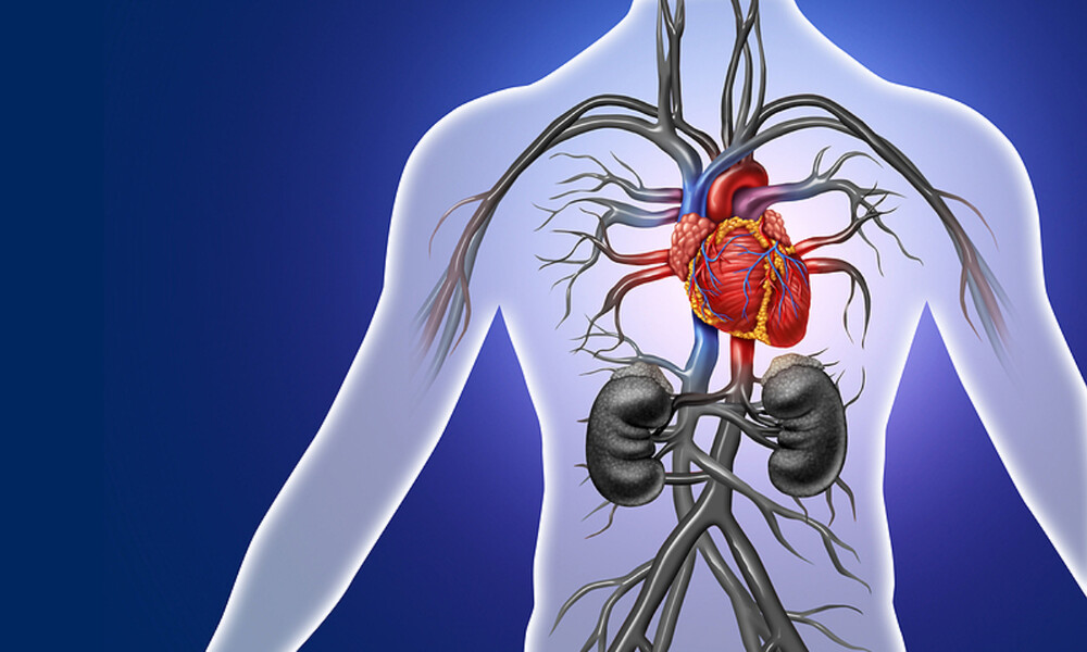 Κολπική μαρμαρυγή: Οι τιμές της αρτηριακής πίεσης που αυξάνουν τον κίνδυνο