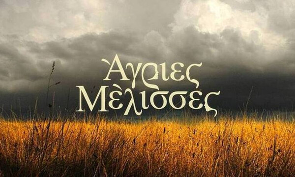 Άγριες μέλισσες: Σκάει... βόμβα μεγατόνων για Βόσκαρη - Απίστευτες αποκαλύψεις