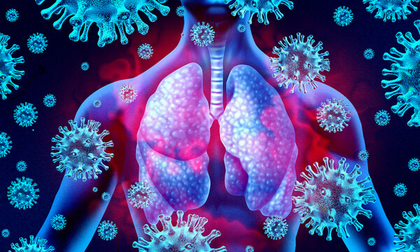 Αποφρακτική πνευμονοπάθεια: Οι τροφές που προστατεύουν τα πνευμόνια (εικόνες)