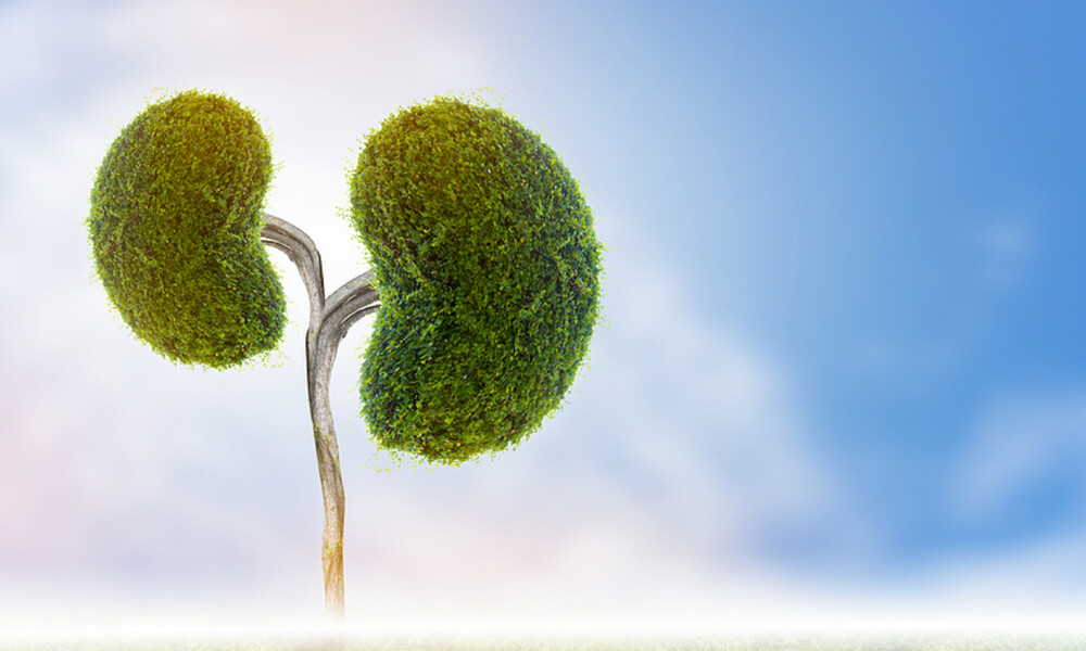 Πέτρες στα νεφρά: Πώς θα αποφύγετε τον σχηματισμό τους (εικόνες)