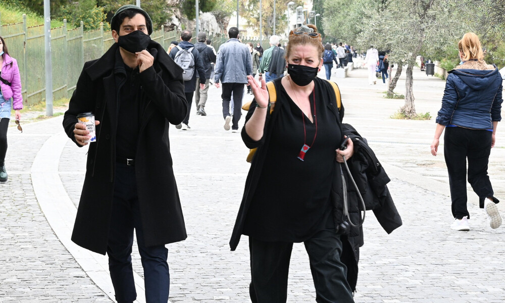 Άγριες μέλισσες: Πανταζάρας - Αντουλινάκη: Είναι αχώριστοί φίλοι - Η βόλτα στην Ακρόπολη