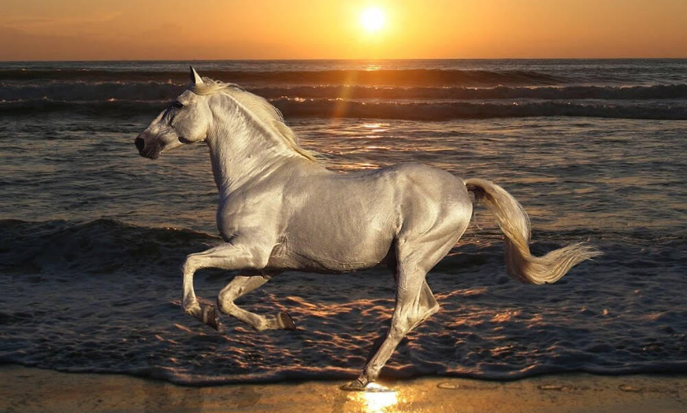 Εσύ μπορείς να βρεις το κρυμμένο άλογο; Έχεις 5 δευτερόλεπτα και τη φωτογραφία! 