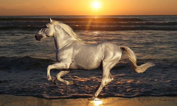 Εσύ μπορείς να βρεις το κρυμμένο άλογο; Έχεις 5 δευτερόλεπτα και τη φωτογραφία! 