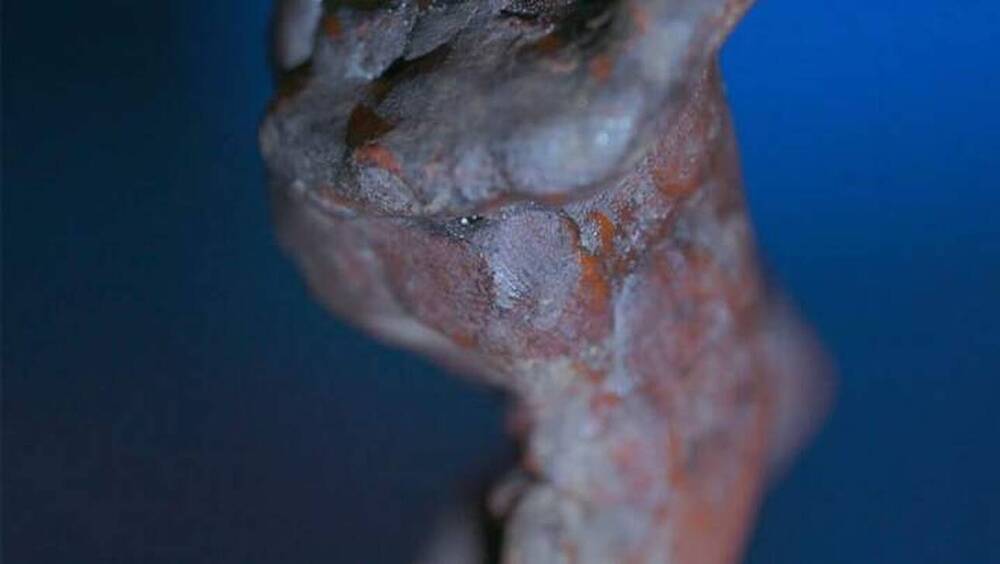 Δακτυλικό αποτύπωμα του Μιχαήλ Αγγέλου εντοπίστηκε σε κέρινο αγαλματίδιο