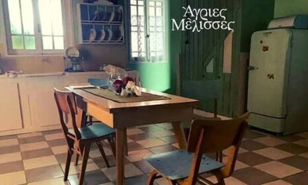 Άγριες Μέλισσες: Δεν πάει ο νους σου τι θυμίζει η καινούργια κουζίνα – Tι παρατήρησαν οι followers