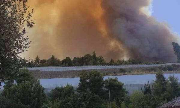Φωτιά στην Αχαΐα: Δραματική η κατάσταση - Καίγονται σπίτια, εκκενώθηκαν οικισμοί