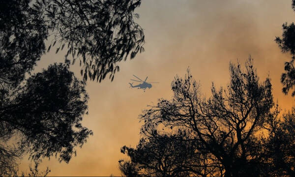 Περιστέρι: Δίπλα στις πυρόπληκτες περιοχές (photo)