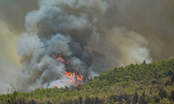 Πύρινος εφιάλτης στη Βόρεια Αττική: Καίγονται σπίτια σε Δροσοπηγή και Κρυονέρι