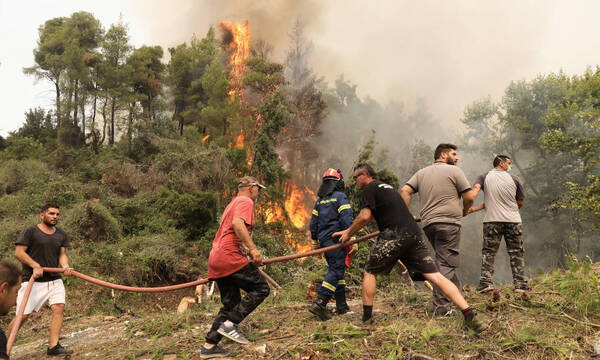 Φωτιά στην Εύβοια: Δραματική έκκληση για εναέρια μέσα - Συνεχίζει να καίει τα πάντα η πύρινη λαίλαπα