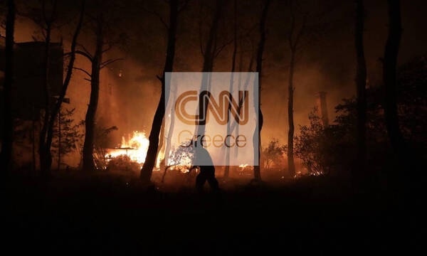 Φωτιές Εύβοια: Οι φλόγες έφθασαν σε Μονοκαρυά και Βασιλικά - Ολονύχτια μάχη για την Ιστιαία