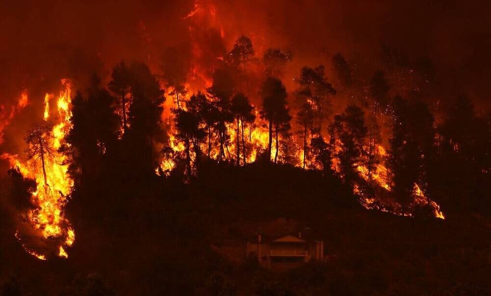 Φωτιές: Το μέγεθος της καταστροφής σε αριθμούς - Πάνω από 650.000 στρέμματα καμένα
