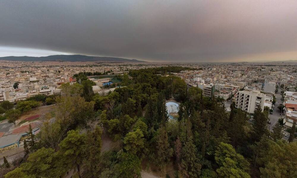 Χαρδαλιάς: Παρατείνεται μέχρι τις 13 Αυγούστου η απαγόρευση εισόδου σε δάση