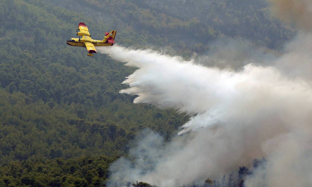 Συναγερμός στα Βίλια: Η φωτιά πλησιάζει - «Κοντά στα πρώτα σπίτια η πυρκαγιά»