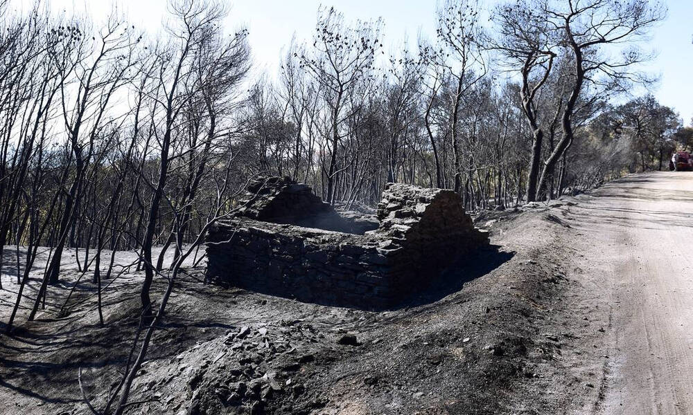 ΚΥΑ: Στη «Διαύγεια» τα μέτρα για τους εργαζόμενους στις πυρόπληκτες περιοχές