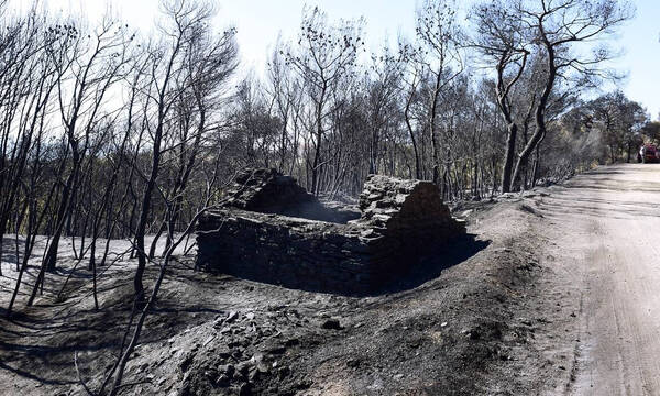 ΚΥΑ: Στη «Διαύγεια» τα μέτρα για τους εργαζόμενους στις πυρόπληκτες περιοχές