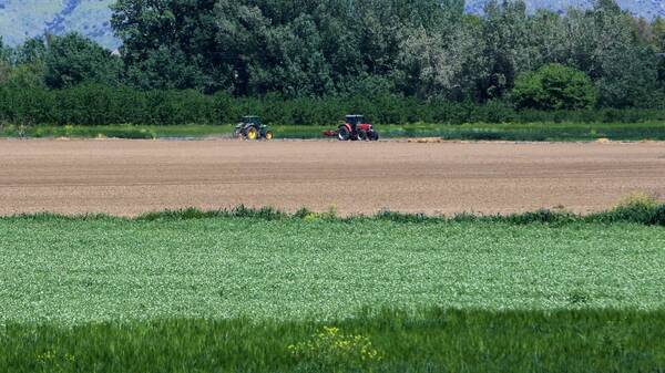 Τραγωδία στην Ξάνθη: Πατέρας παρέσυρε και σκότωσε τον γιο του με θεριζοαλωνιστική μηχανή