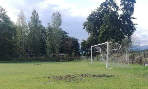 Αγριογούρουνα έκαναν «ντου» σε ελληνικό γήπεδο (photos)