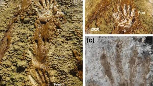 Παιδική τέχνη 226.000 ετών; Ανακαλύφθηκαν στο Θιβέτ «γκράφιτι» από πατημασιές και παλάμες