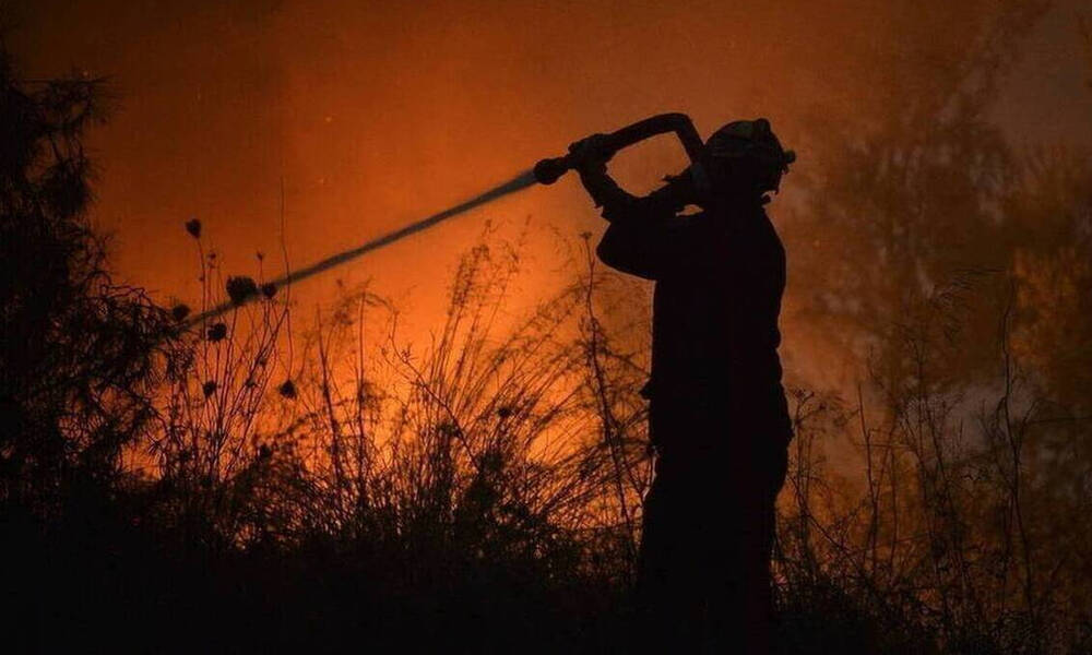 Φωτιά ΤΩΡΑ στη Νέα Μάκρη - Κοντά σε σπίτια οι φλόγες