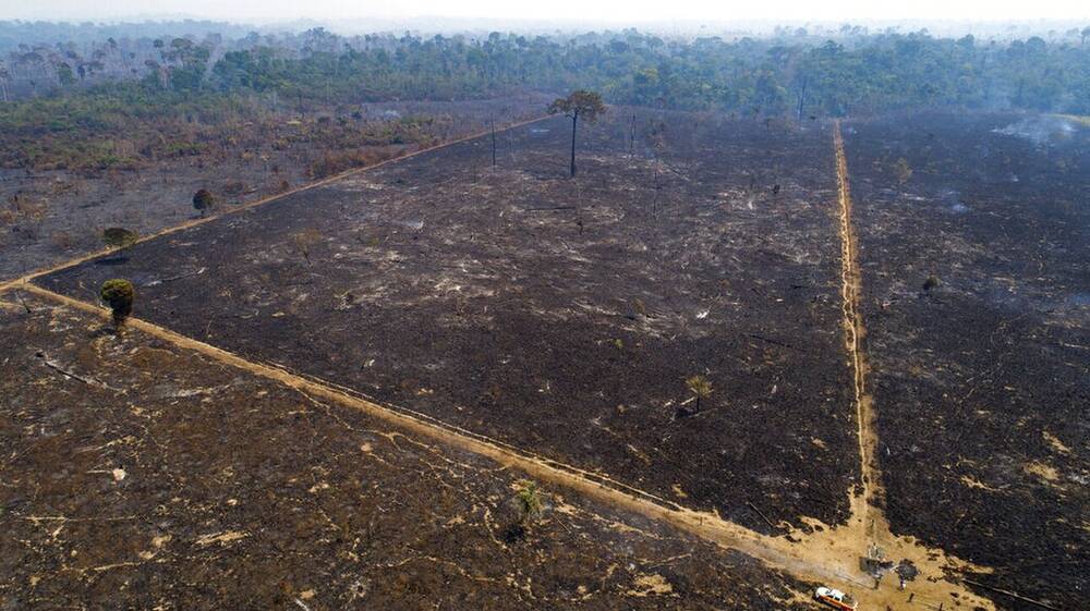Αποψίλωση Αμαζονίου: Ο Μπολσονάρου κατηγορείται από ΜΚΟ για έγκλημα κατά της ανθρωπότητας