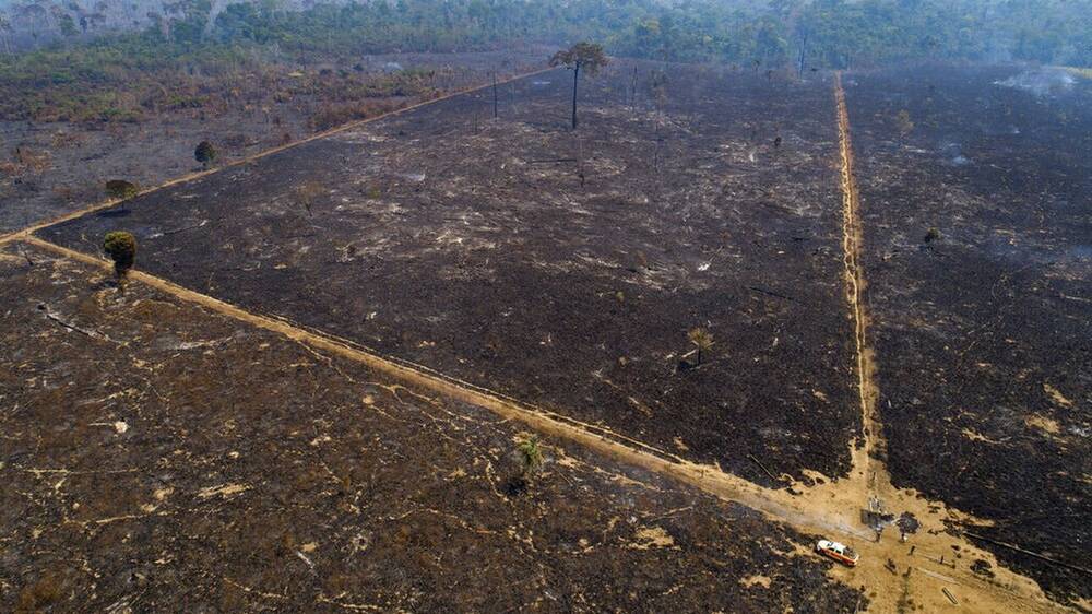 COP26: Η Βραζιλία θα ζητήσει αποζημίωση για τη μάχη της κατά της αποψίλωσης του Αμαζονίου
