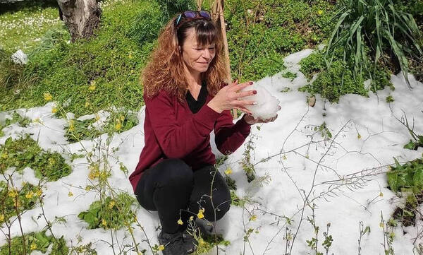 Ιεράπετρα: «Μαρτύρησε» η Νεκταρία στα χέρια του πρώην συζύγου της - Ζούσε τον εφιάλτη δίπλα του