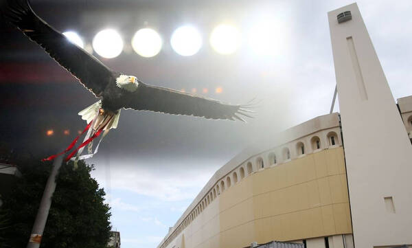Βουλευτής του ΜέΡΑ25 έκανε ερώτηση στη Βουλή για τον αετό της ΑΕΚ – Η απάντηση Αμυρά