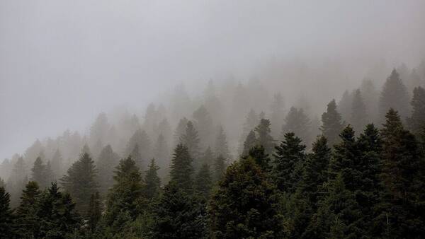 Μαίναλο: Υπέροχες εικόνες με χαμηλή νέφωση στην ορεινή Αρκαδία