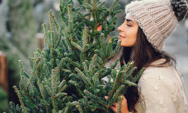 Ημερήσιες Προβλέψεις για όλα τα Ζώδια, 16/12