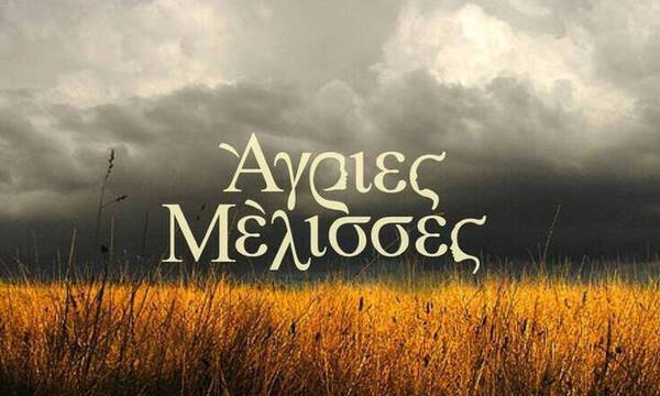 Άγριες Μέλισσες: Δεν πάει ο νους σου ποιος πρωταγωνιστής επιστρέφει! Η ανακοίνωση στο Πρωινό