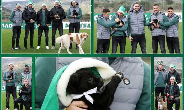 Παναθηναϊκός: Οι ξεχωριστές ευχές για τα Χριστούγεννα