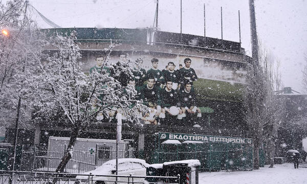 Παναθηναϊκός: Η ενημέρωση της ΠΑΕ για τη ζημιά στο στέγαστρο της Λεωφόρου