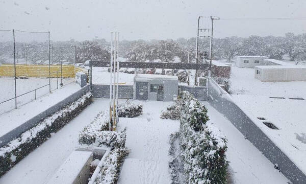 ΑΕΚ: Επιχείρηση... προπόνηση - «Μάχη» για τον καθαρισμό στα Σπάτα (photos)