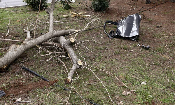 Βουλιαγμένη: Καταγγελίες για κόντρα που προκάλεσε το τροχαίο – «Ευτυχώς που δεν είχαμε θύματα»
