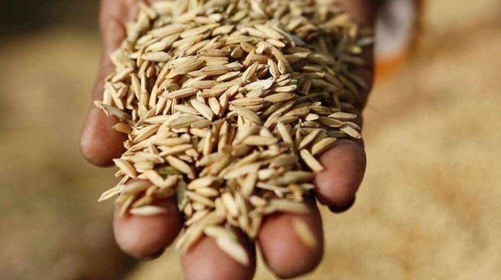 Η Ουκρανία κατηγορεί τη Ρωσία ότι έκλεψε 400.000 τόνους σιτηρά