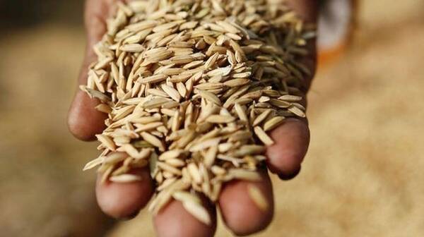 Η Ουκρανία κατηγορεί τη Ρωσία ότι έκλεψε 400.000 τόνους σιτηρά