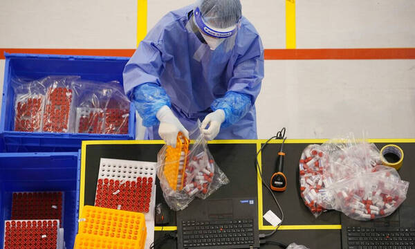 Ευλογιά των πιθήκων: Ανησυχία επιστημόνων για την εύκολη διάδοση και έξαρσή της