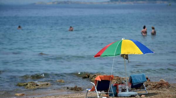 Μωβ μέδουσες: Χάρτης με τις επικίνδυνες περιοχές - Σε ποιες παραλίες χρειάζεται προσοχή στην Αττική